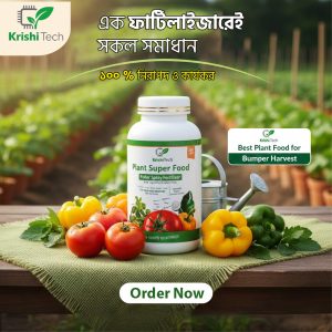 Plant Super Food Fertilizer